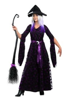 Purple Moon Women's Witch Costume