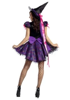 Purple Web Witch Costume For Women -Halloween Costumes womens purple web witch costume alt 1
