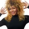 Queen Of Rock Costume Wig For Women -Halloween Costumes womens queen of rock costume wig