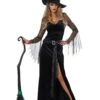 Rich Witch Women's Costume -Halloween Costumes womens rich witch costume