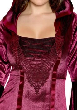 Dreamgirl Velvet Hooded Renaissance Maiden Costume For Women -Halloween Costumes womens velvet hooded renaissance maiden alt 4