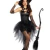 Dreamgirl Women's Wicked Witch Costume -Halloween Costumes womens wicked wicked witch costume