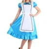 Women's Wonderful Alice Costume -Halloween Costumes womens wonderful alice costume