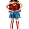 Wonder Woman Plus Size Costume